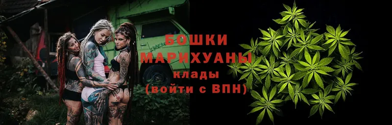 Бошки марихуана LSD WEED  omg вход  Новошахтинск 